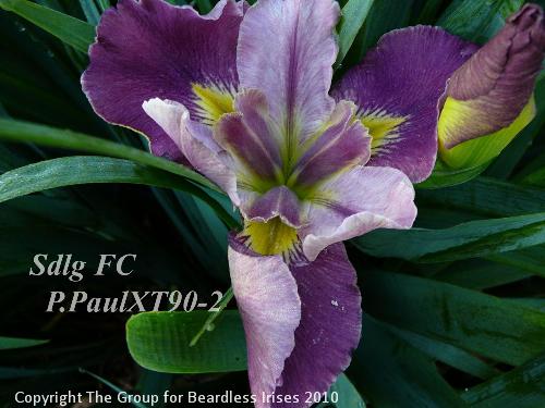 Sdlg FC P.PaulXT90-2 
